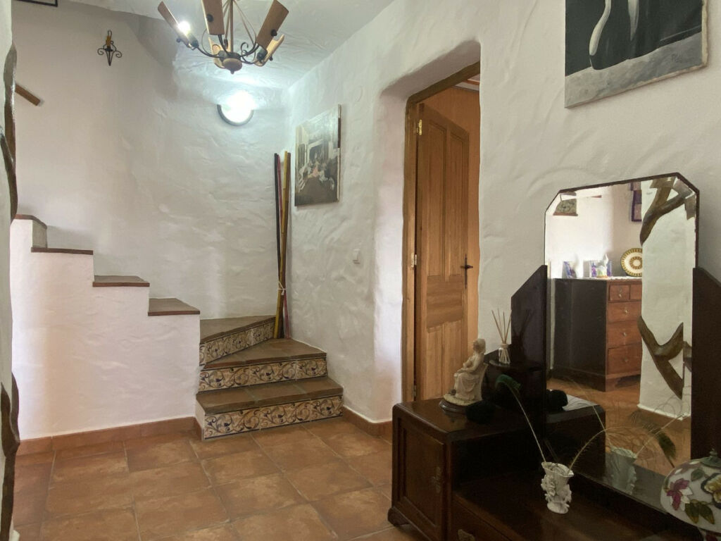 Detached Villa Frigiliana Málaga - image 7