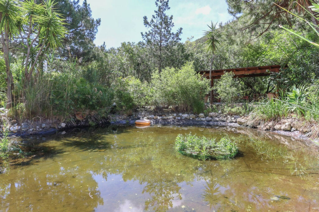 Detached Villa Coín Málaga - image 68