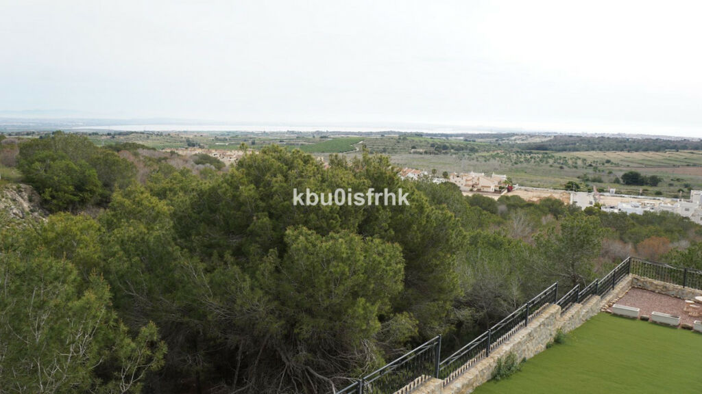 Detached Villa San Miguel de Salinas Alicante - image 73