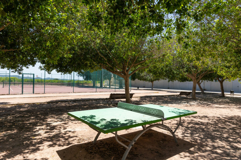 Semi-Detached House Rafal Alicante - image 73