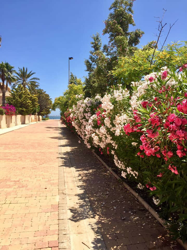 Detached Villa Cartagena Murcia - image 75