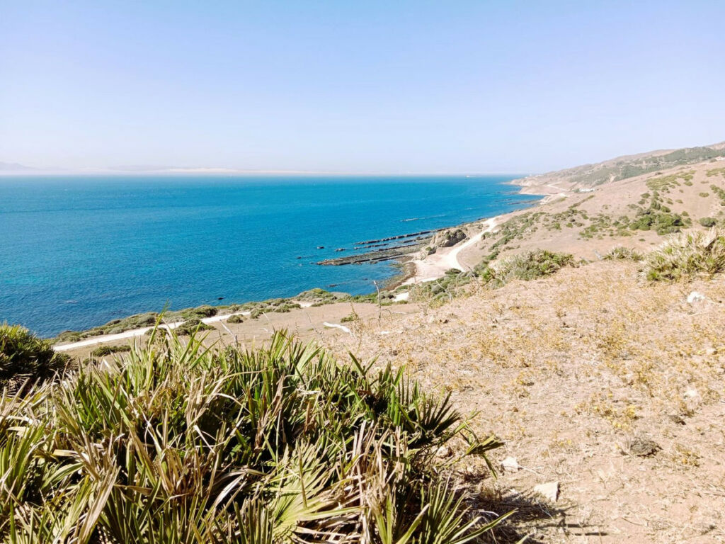 Land Tarifa Cádiz - image 8