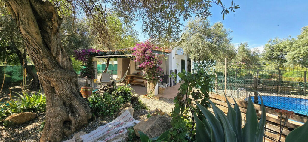 Detached Villa Monda Málaga - image 8