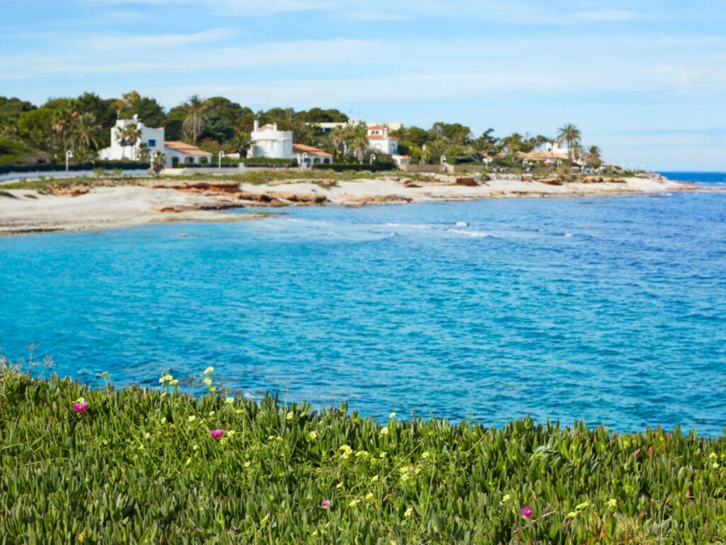 Detached Villa Denia Alicante - image 8