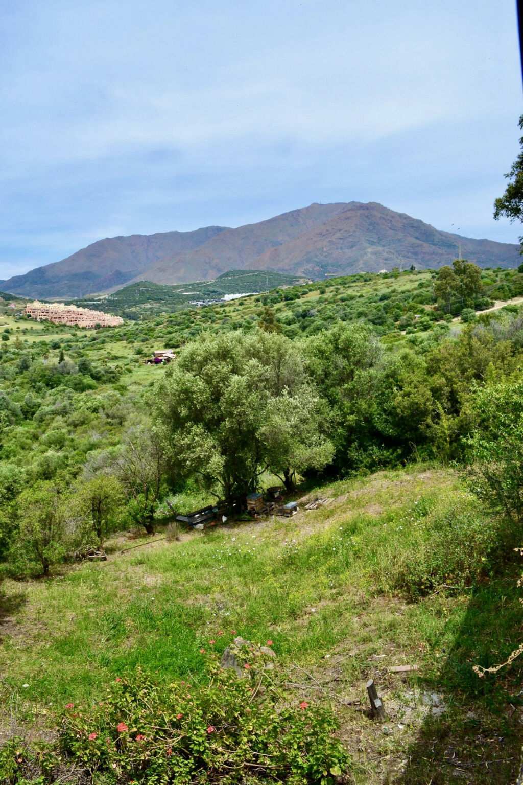 Land Estepona Málaga - image 8