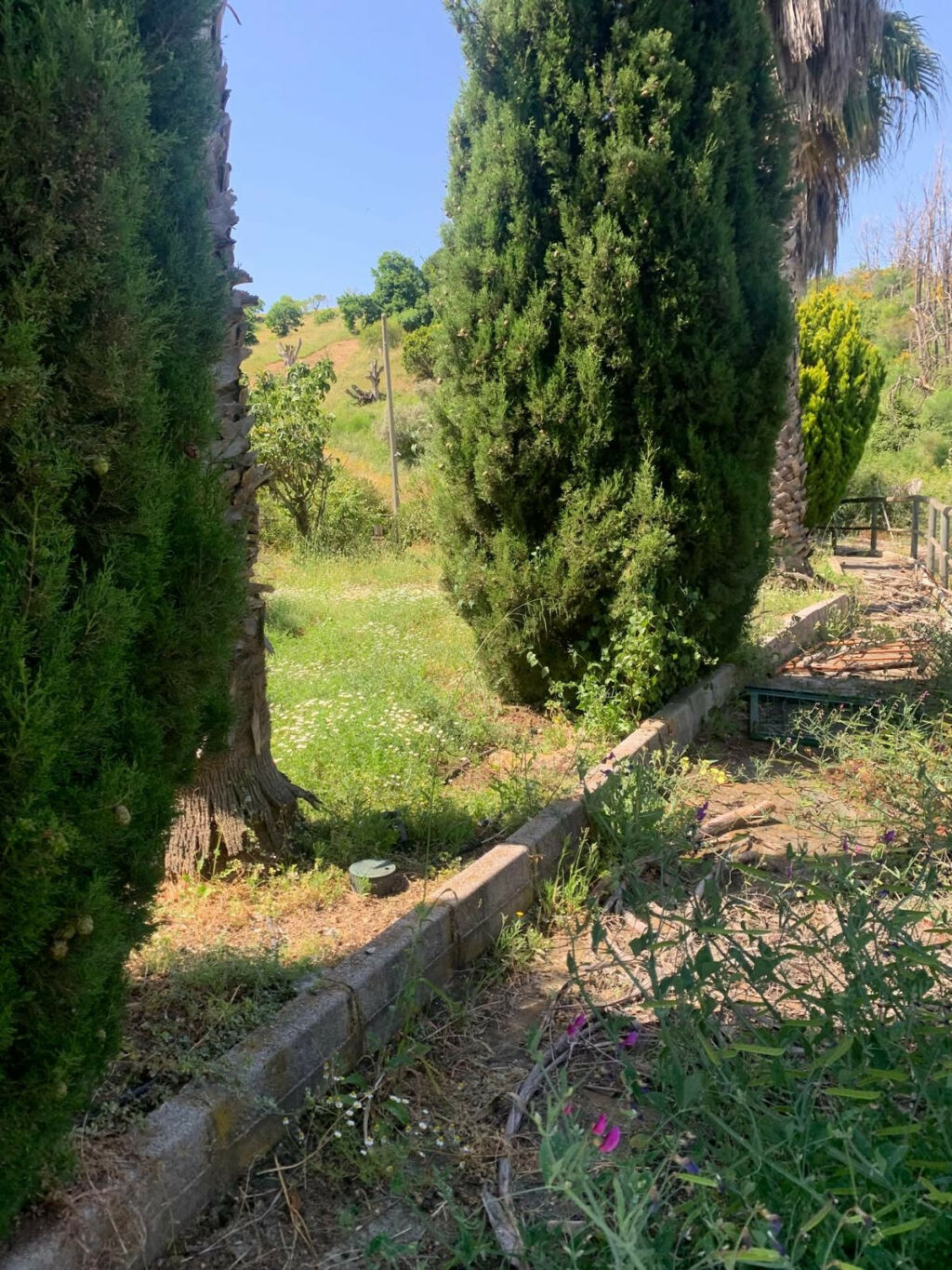 Finca - Cortijo Ojén Málaga - image 8