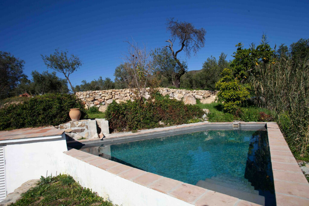Finca - Cortijo Casarabonela Málaga - image 8