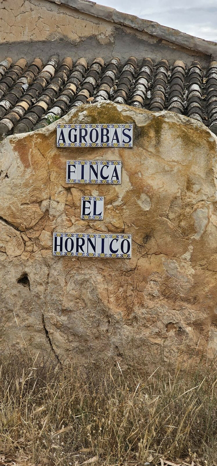 Commercial Plot Sucina Murcia - image 8
