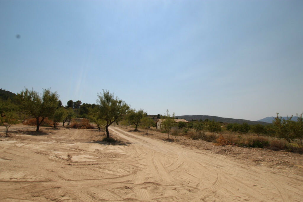 Detached Villa Pinoso Alicante - image 8