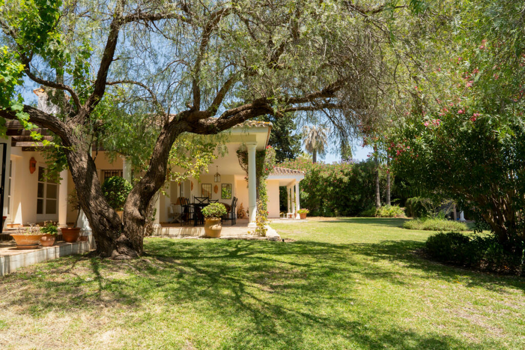 Detached Villa Estepona Málaga - image 8