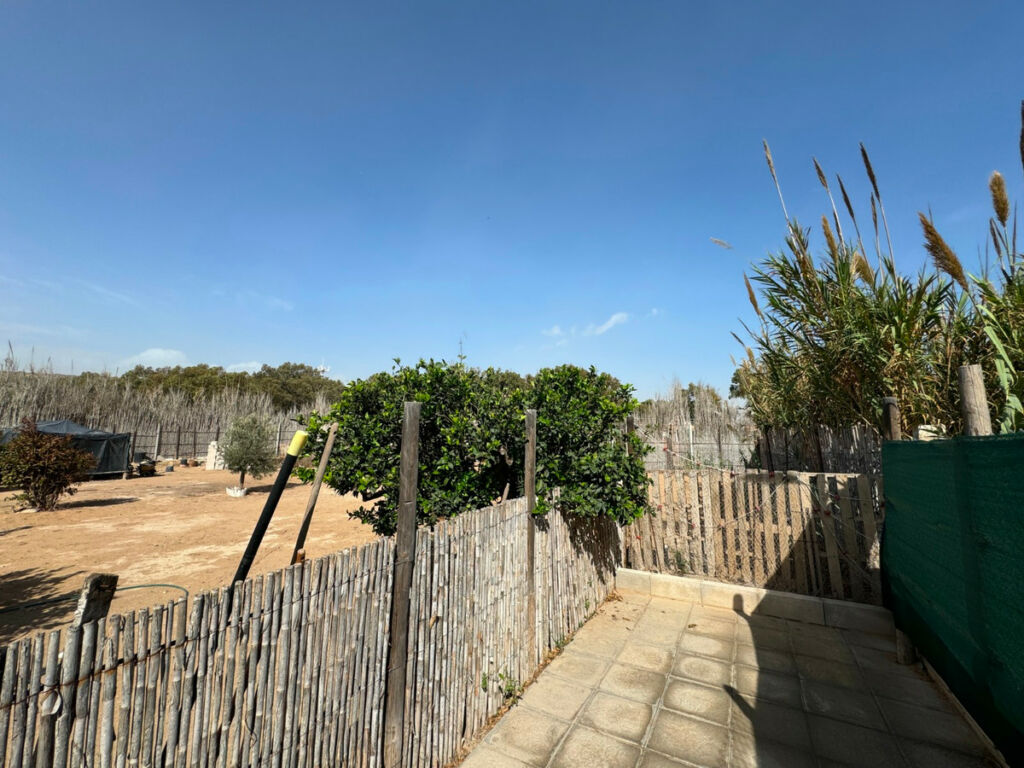Detached Villa Guardamar del Segura Alicante - image 9