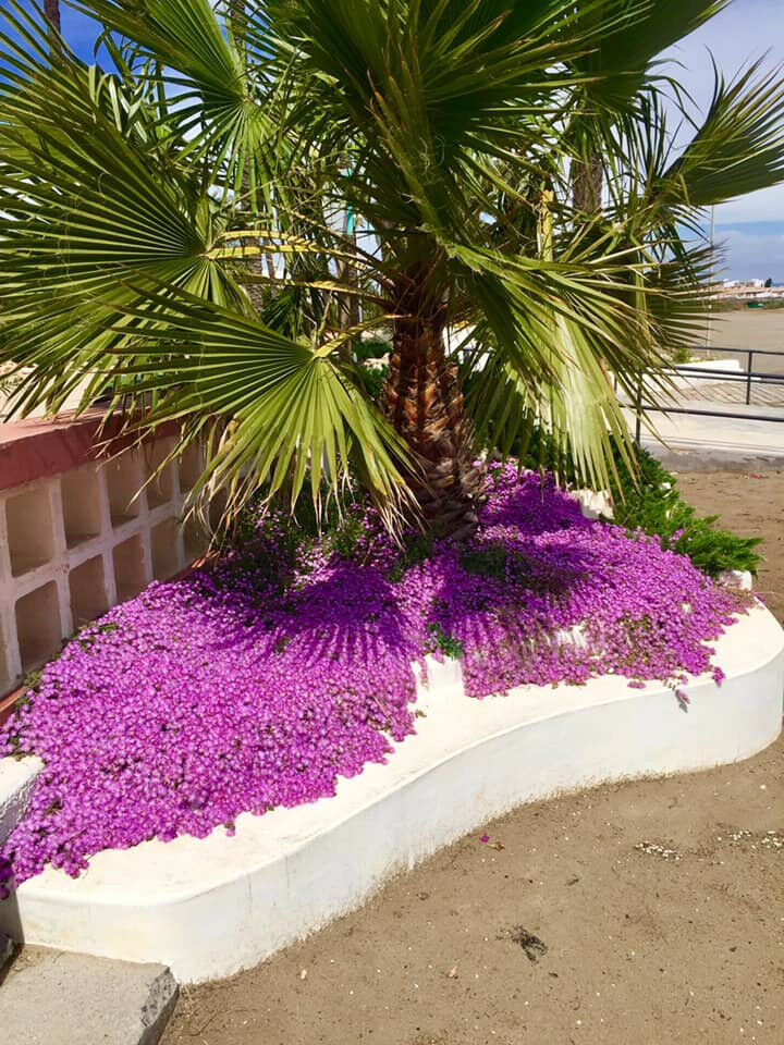 Detached Villa Cartagena Murcia - image 82