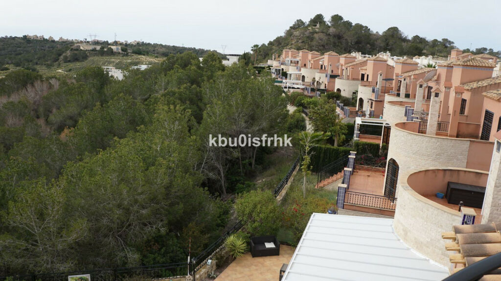 Detached Villa San Miguel de Salinas Alicante - image 84