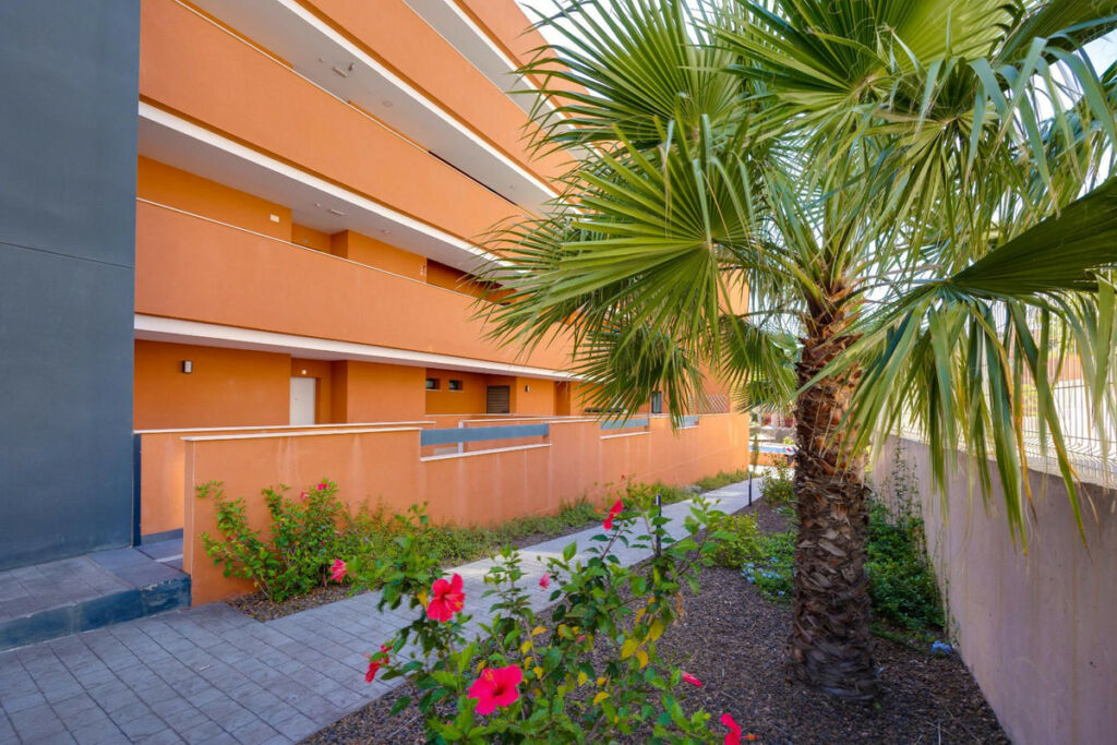 Ground Floor Apartment Orihuela Costa Alicante - image 9