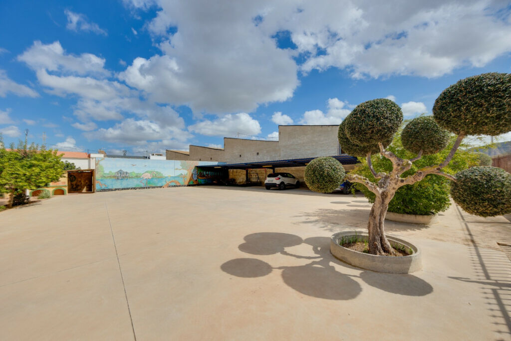 Detached Villa Orihuela Alicante - image 5