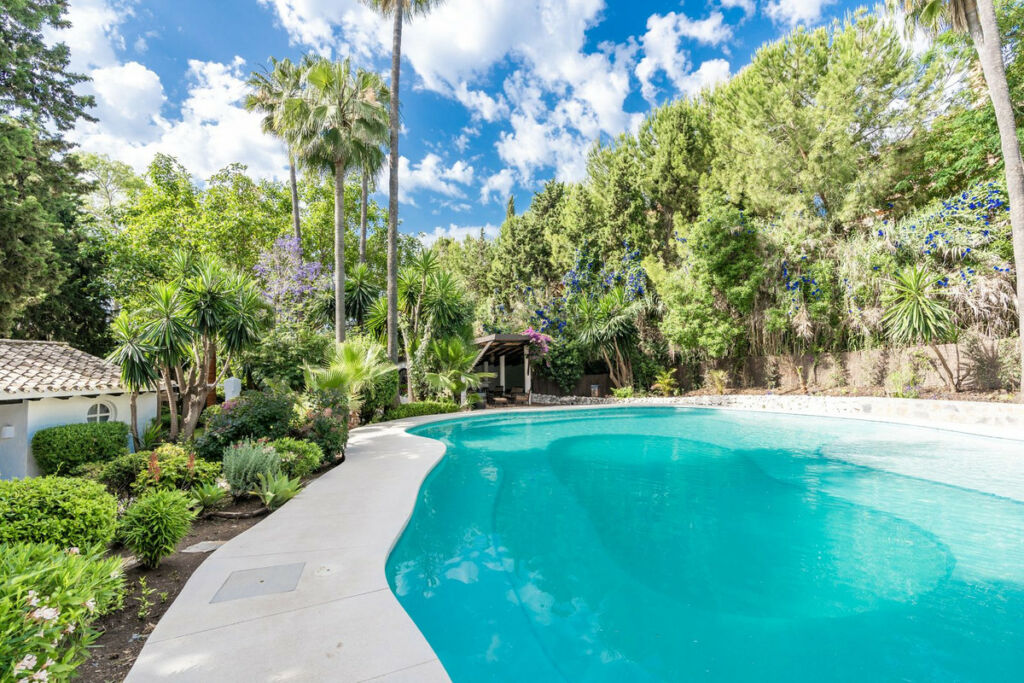 Detached Villa Estepona Málaga - image 10