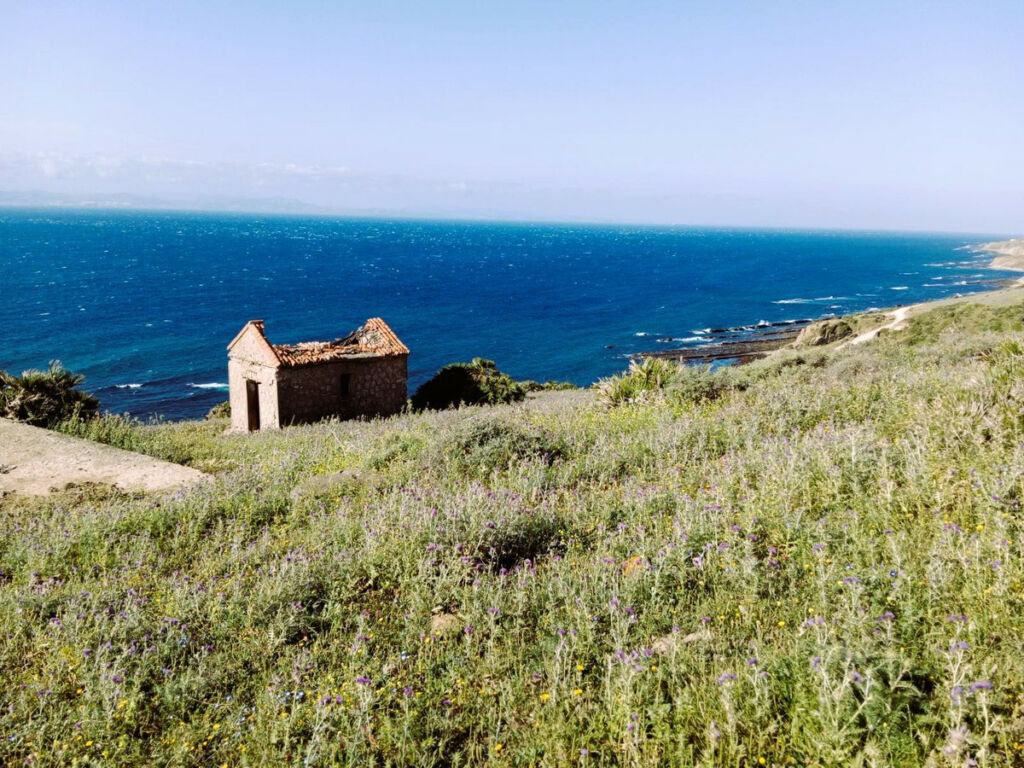 Land Tarifa Cádiz - image 9