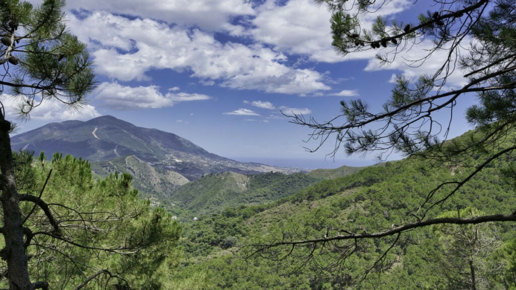 Land Coín Málaga