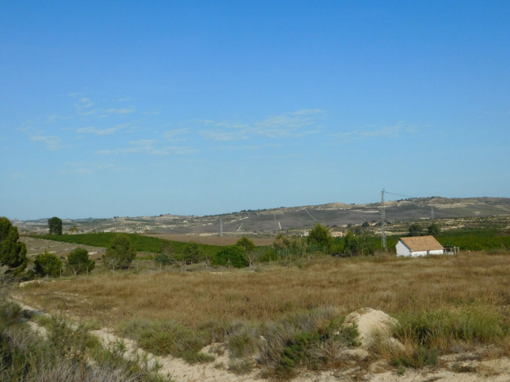 Land Torremendo Alicante