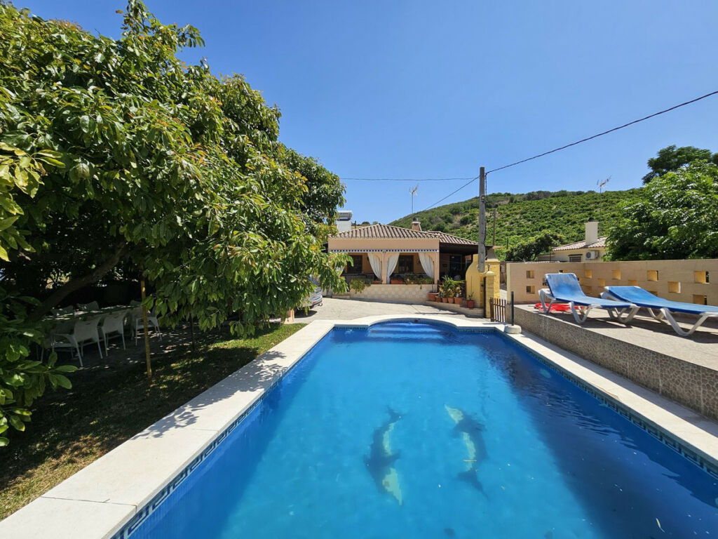 Detached Villa Casares Málaga - image 4