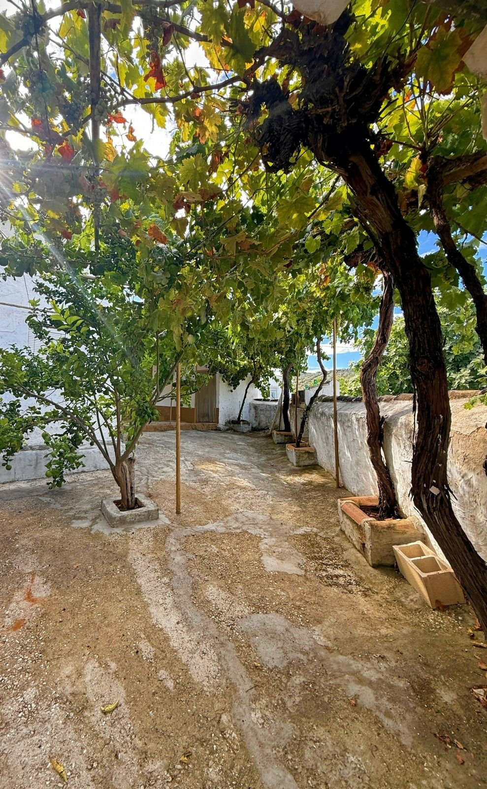 Finca - Cortijo Villanueva de Algaidas Málaga - image 2