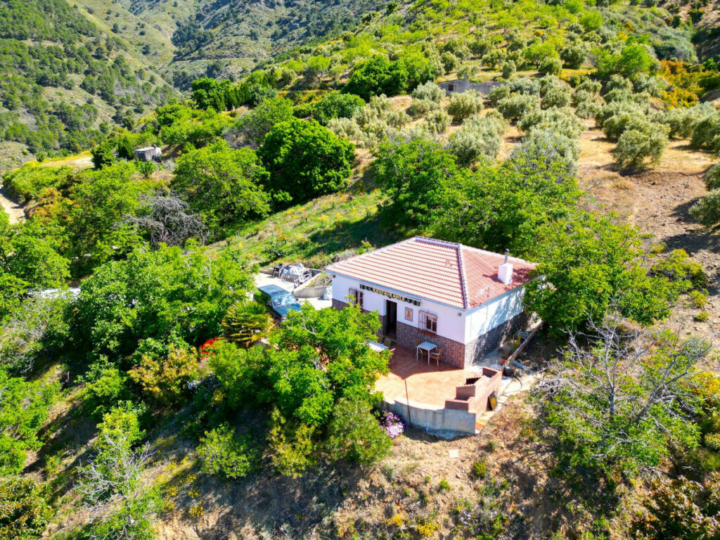 Finca - Cortijo Canillas de Albaida Málaga