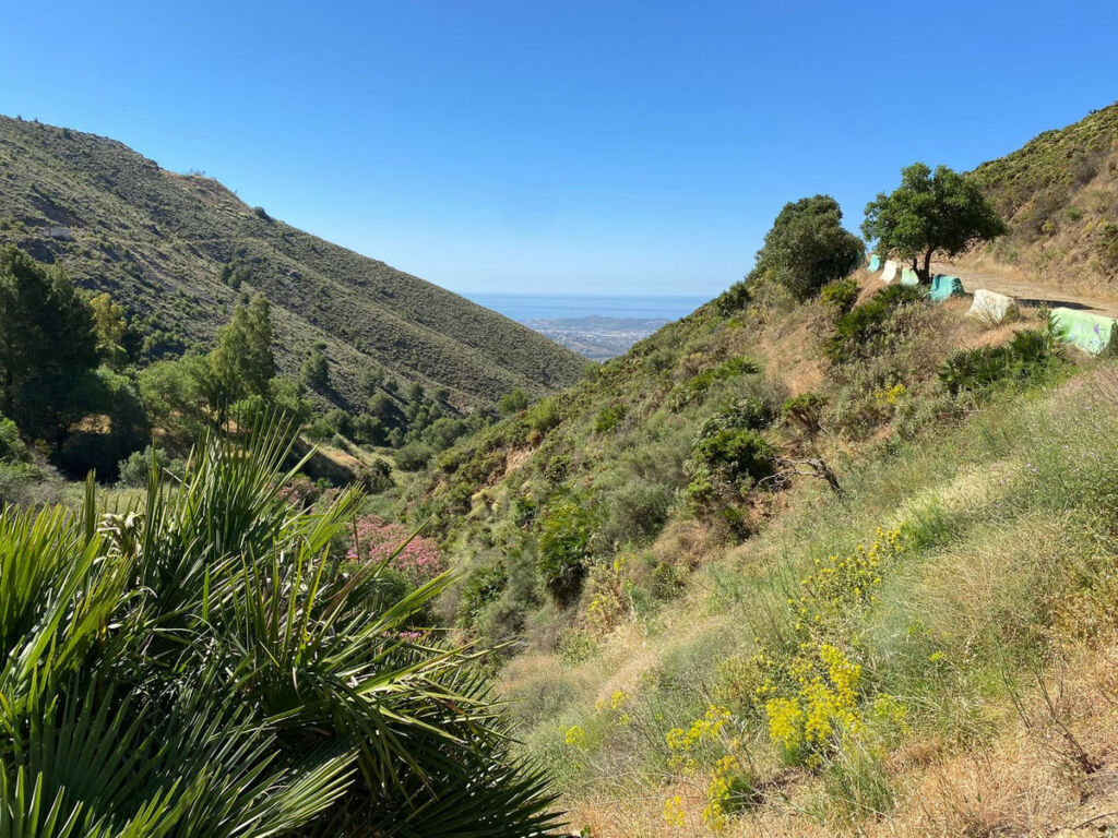 Residential Plot Valtocado Málaga