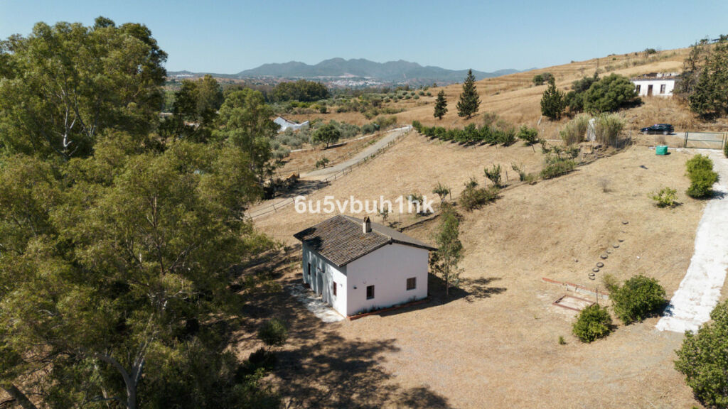 Finca - Cortijo Cártama Málaga