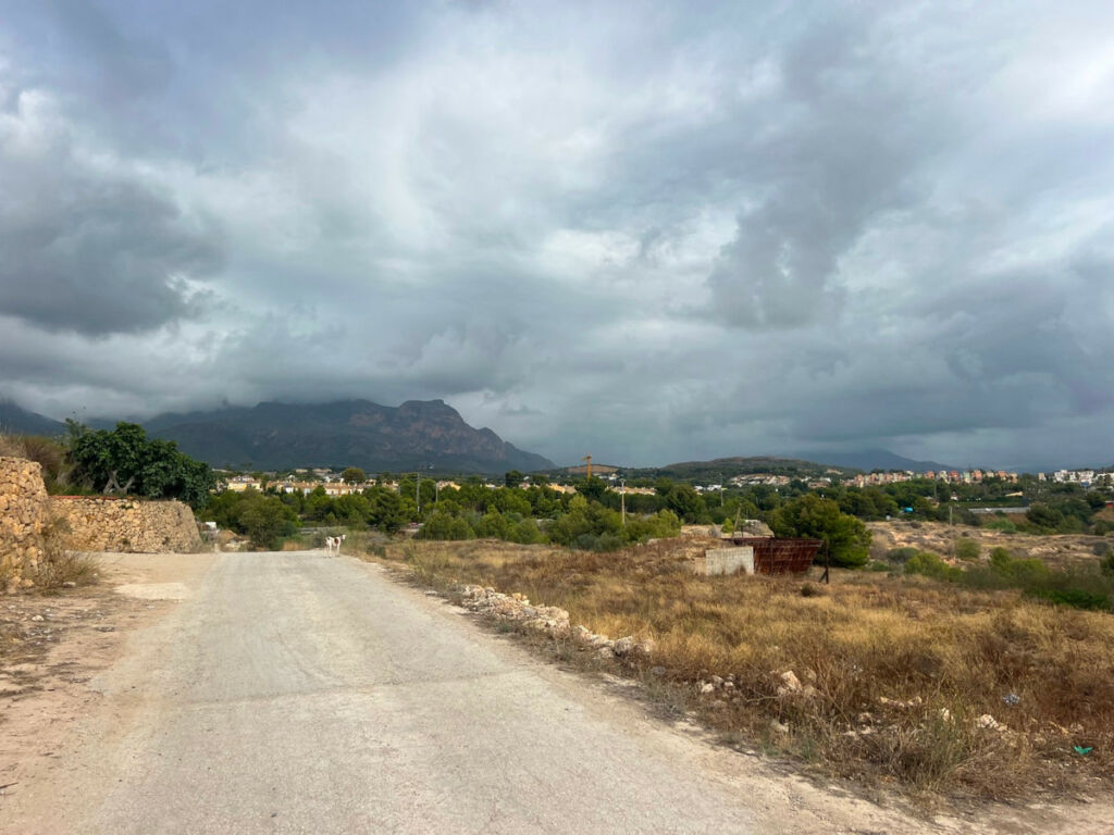 Land L'Alfás del Pi Alicante