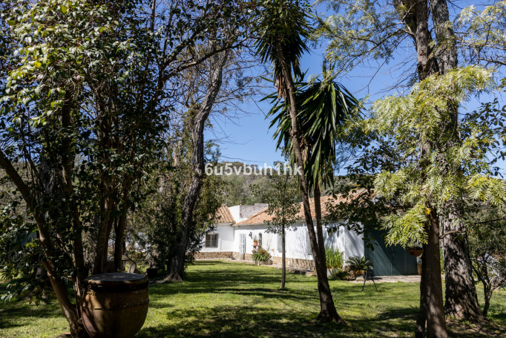 Finca - Cortijo Jimena de la Frontera Cádiz