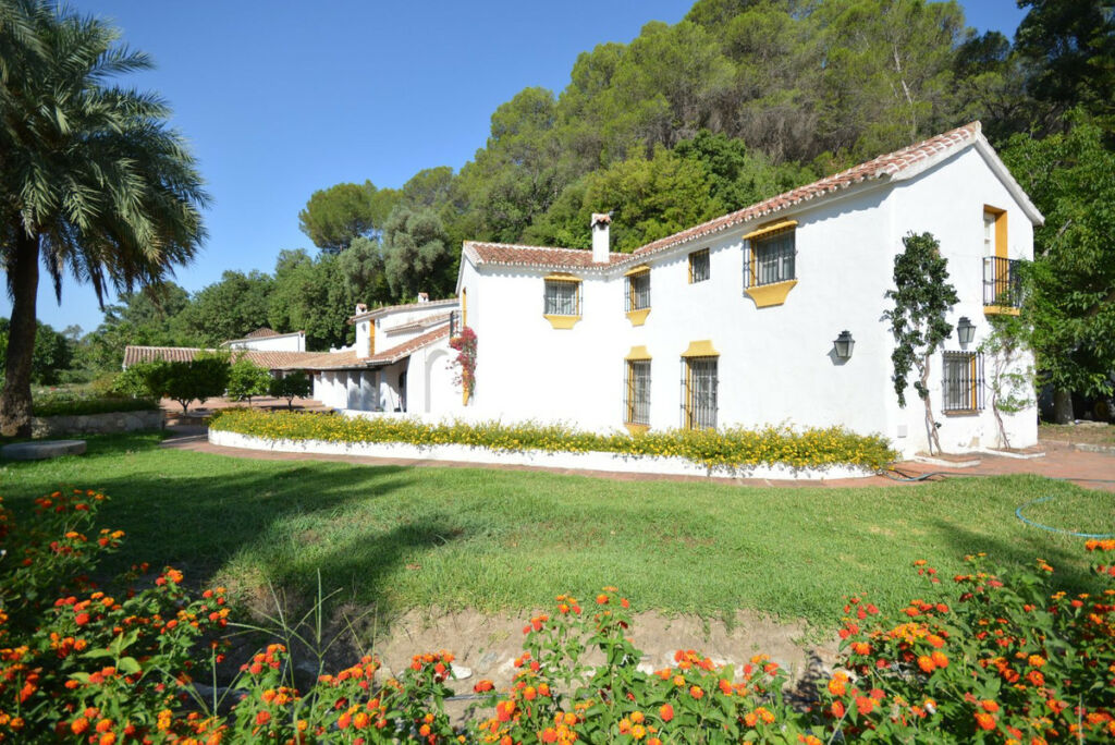Finca - Cortijo Gaucín Málaga