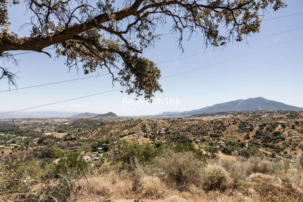 Land Coín Málaga - image 10