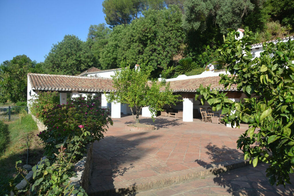 Finca - Cortijo Gaucín Málaga - image 10