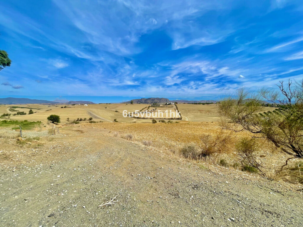 Land Cártama Málaga - image 10