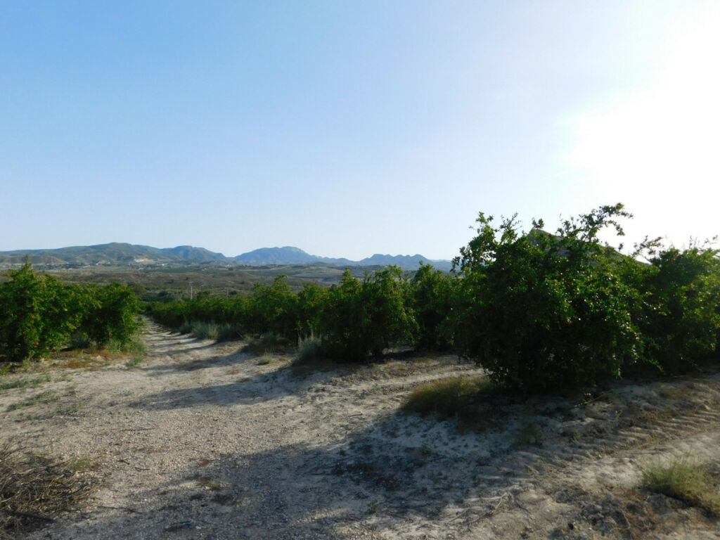 Land Torremendo Alicante - image 9