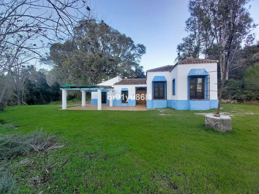 Finca - Cortijo Casares Málaga - image 10