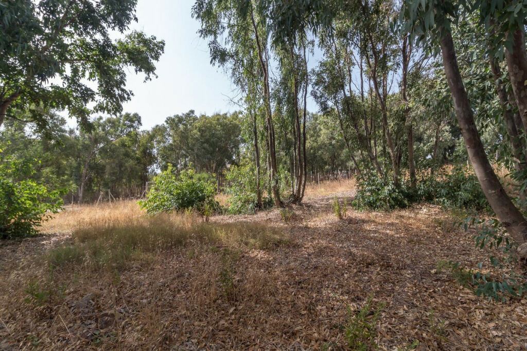 Residential Plot Manilva Málaga - image 10