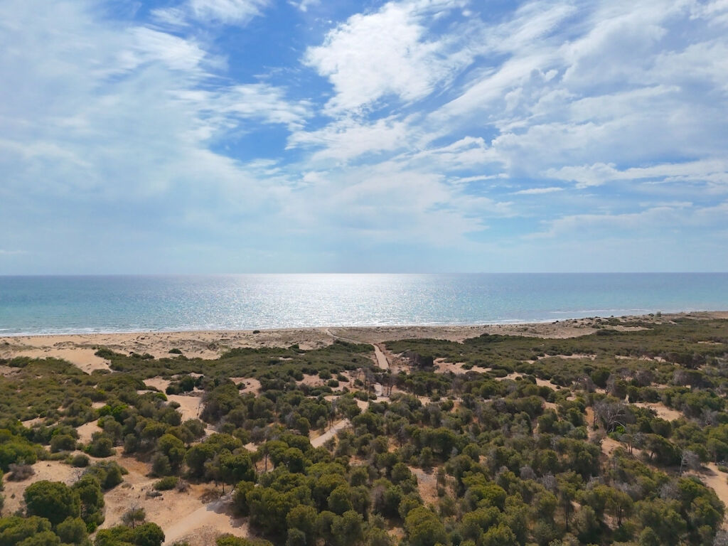 Ground Floor Apartment Guardamar del Segura Alicante - image 10