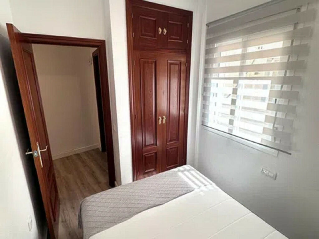 Middle Floor Apartment Málaga Centro Málaga - image 10
