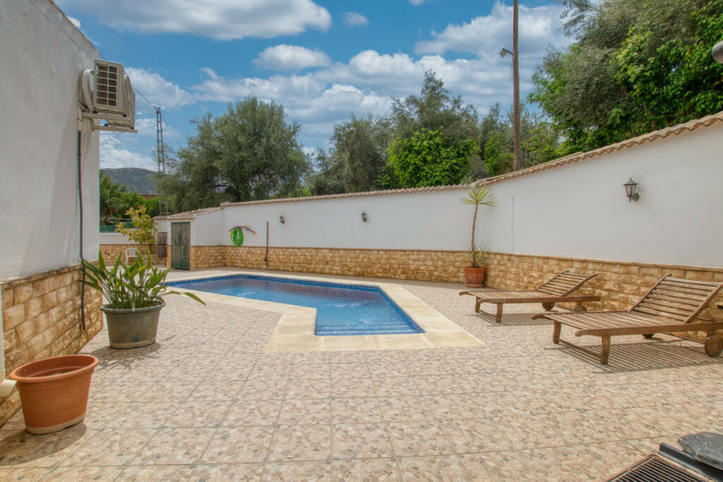 Detached Villa Periana Málaga - image 12