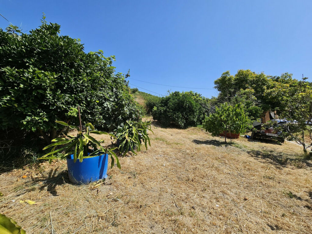 Detached Villa Casares Málaga - image 12