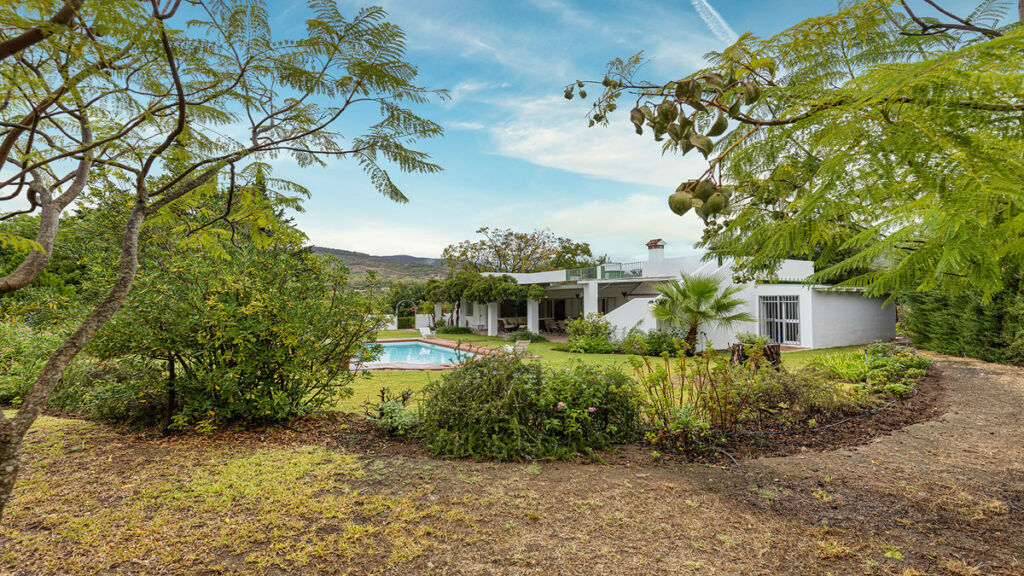 Finca - Cortijo San Pablo de Buceite Cádiz - image 11