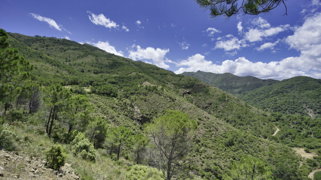 Land Coín Málaga - image 11