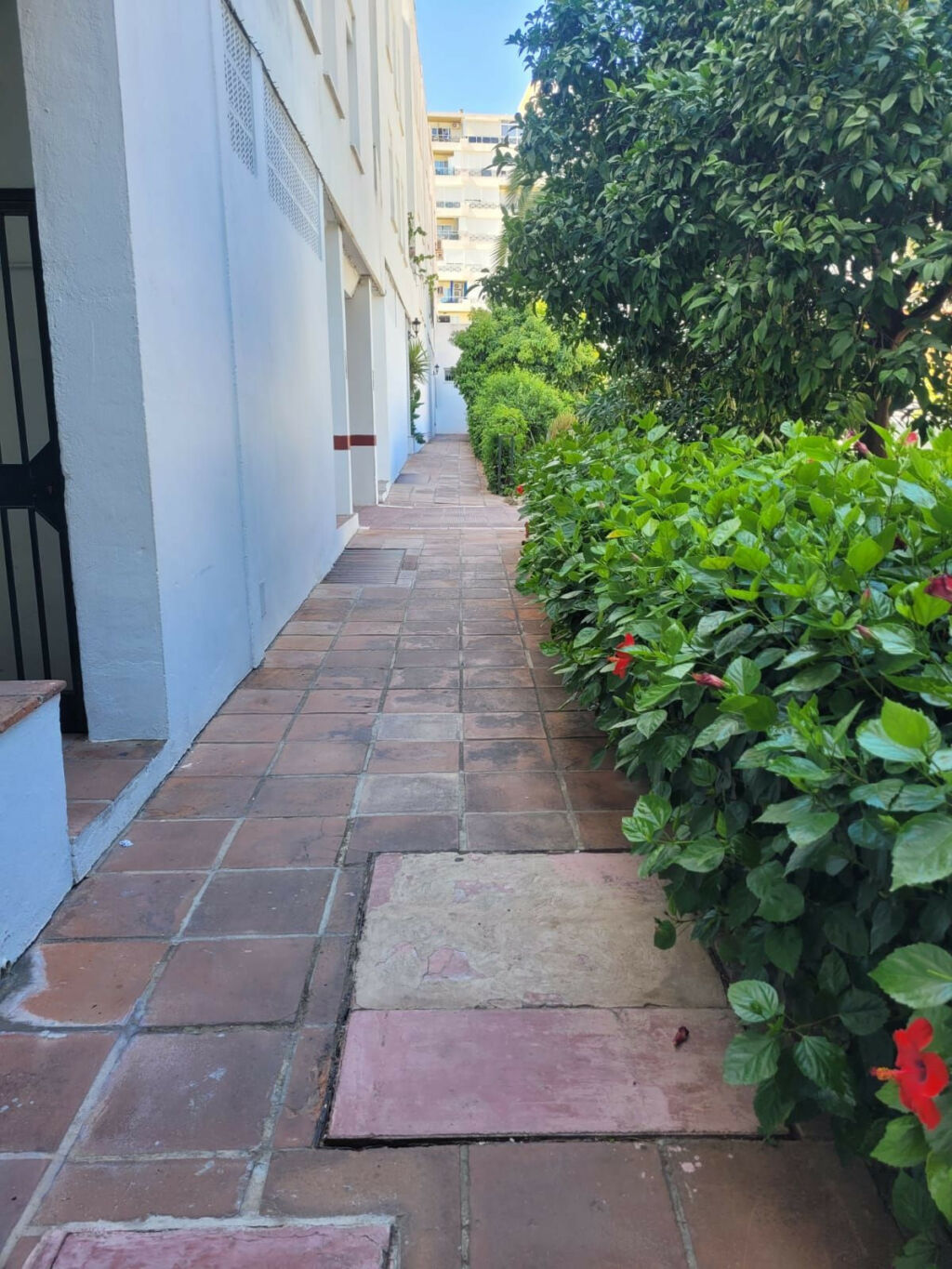 Ground Floor Apartment La Carihuela Málaga - image 11