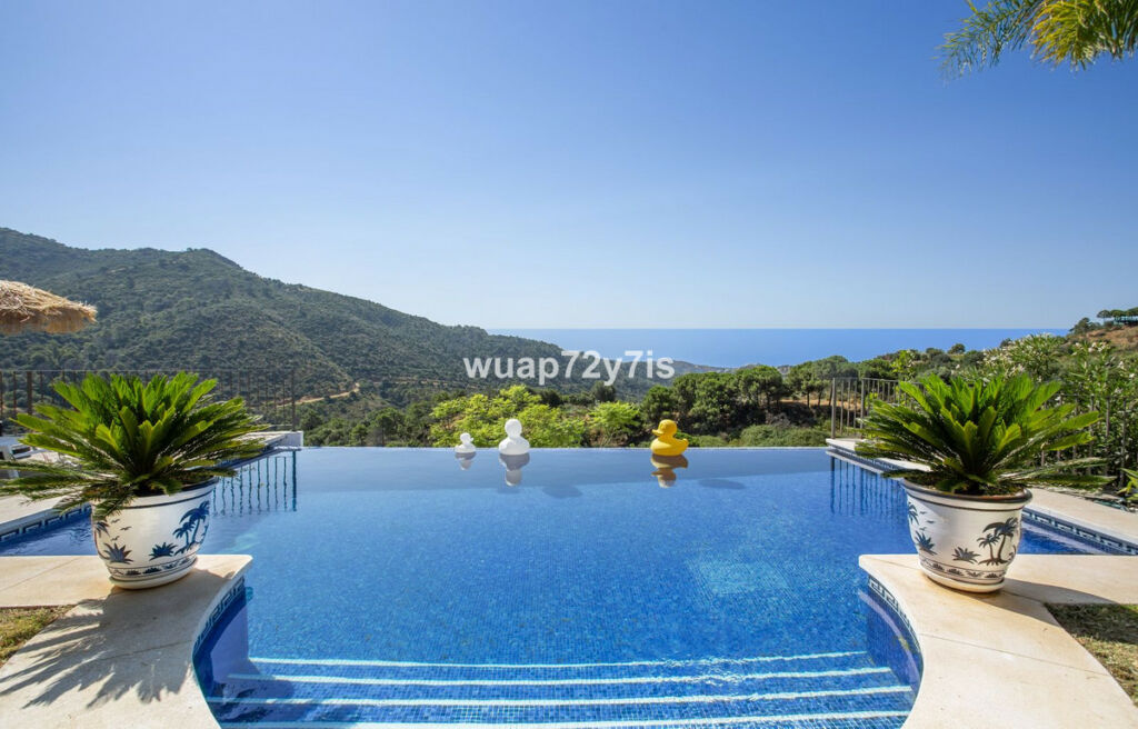 Detached Villa Benahavís Málaga - image 11