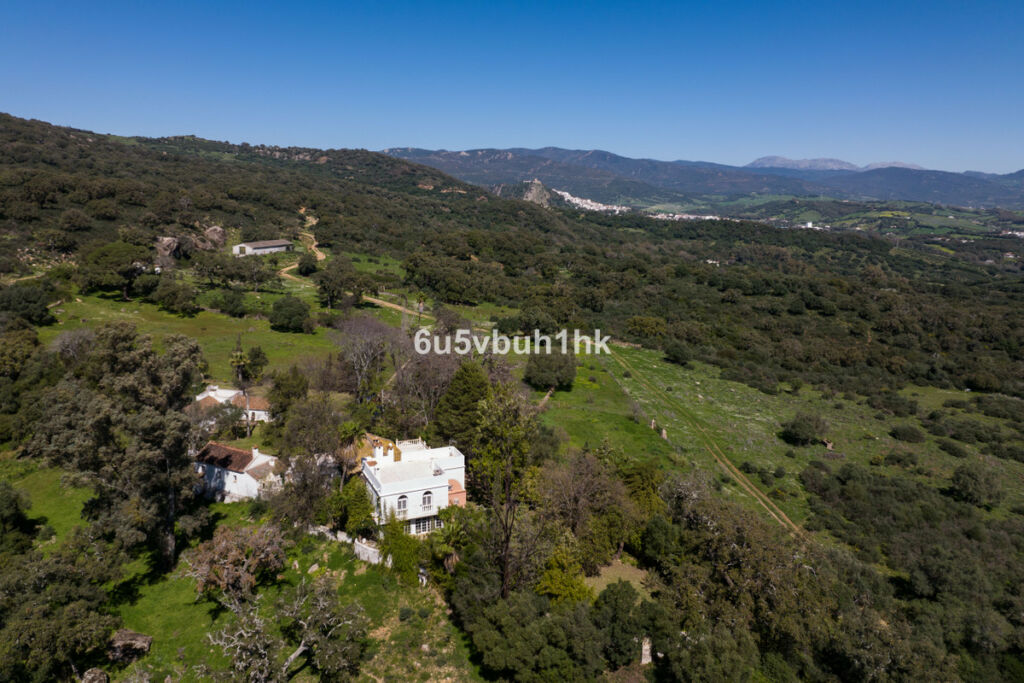 Finca - Cortijo Jimena de la Frontera Cádiz - image 11