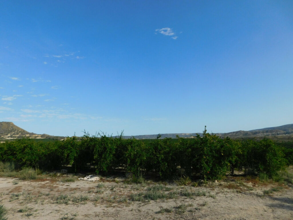Land Torremendo Alicante - image 10
