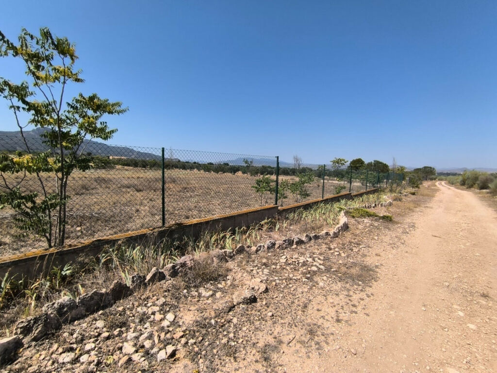 Finca - Cortijo Villena Alicante - image 12