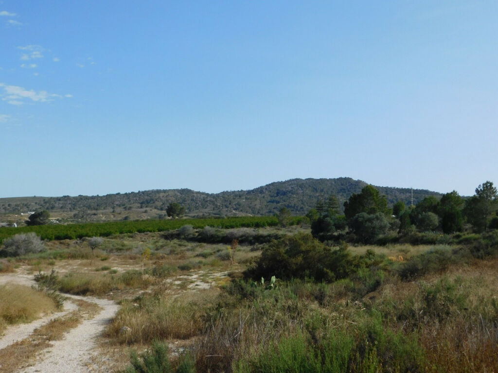 Land Torremendo Alicante - image 4