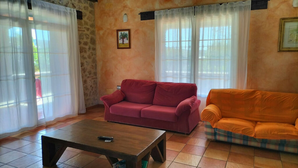 Detached Villa Aspe Alicante - image 12